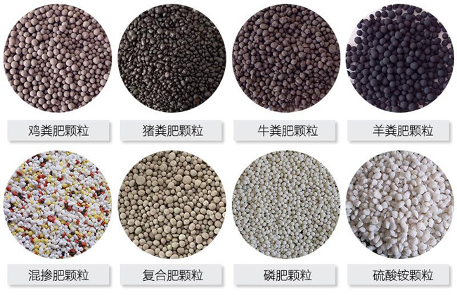 養(yǎng)豬場糞便怎么處理?小型豬糞有機(jī)肥生產(chǎn)線生產(chǎn)過程(圖2) 有機(jī)肥顆粒成品顆粒