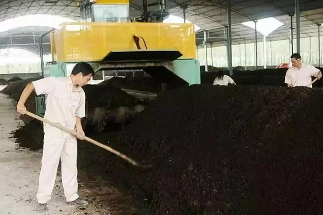 禽糞有機(jī)肥生產(chǎn)國(guó)家補(bǔ)貼對(duì)象、申報(bào)條件、流程、考核(圖1) 有機(jī)肥翻拋現(xiàn)場(chǎng)